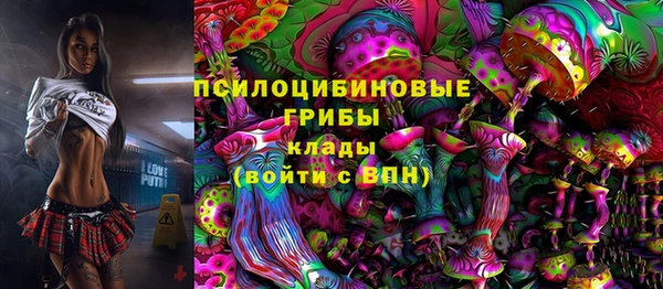 ECSTASY Алексин